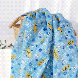 ��ǰ�̹���