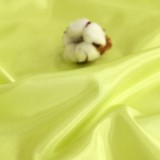 ǰ